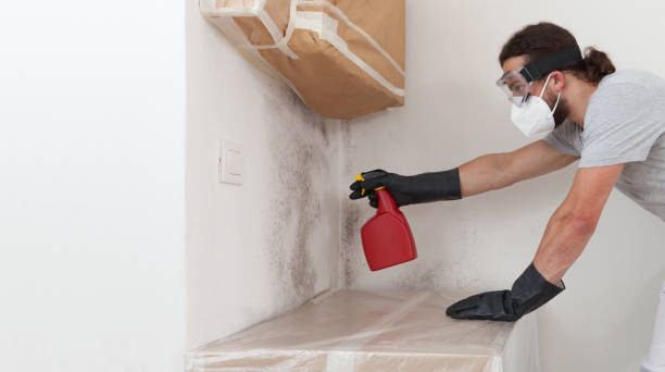 Professional Mold Testing technician working in Fruitport, MI